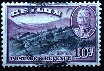 [King George V - Local Motives, Typ BF]