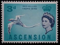 [Birds, type AN]