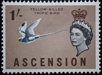 [Birds, type AS]