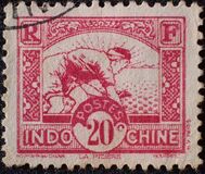 [Rice Sowing, 类型 AG6]