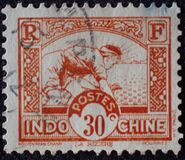 [Rice Sowing, 类型 AG11]