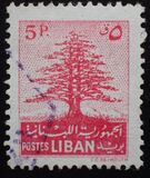 [Cedar of Lebanon,  Baalbek and Beaufort, type XDK3]