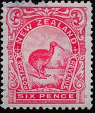 [Birds - First Pictorials in Small Size, type AC11]