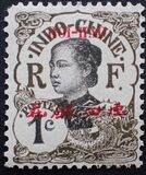 [Indochina Postage Stamps Overprinted "HOI-HAO", प्रकार D]