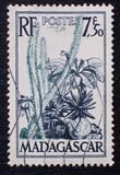 [Plants and Birds, タイプ JF]