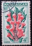 [Flora, Fauna and Sightseeing, tip JS]