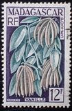[Flora, Fauna and Sightseeing, tip JT]