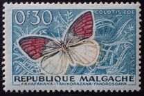 [Butterflies and Agricultural Products, type KA]