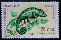 [Nature Protection, प्रकार ER]
