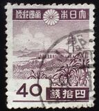 [Local Motifs, type CY1]