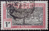 [Palm Oil Plantation, typ I]