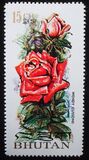 [Rose Varieties, Tipi TQ]