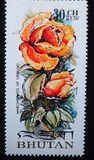 [Rose Varieties, Tipi TS]