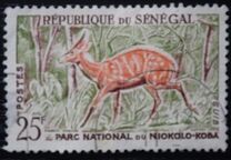 [Animals from the Niokolo-Koba National Park, ประเภท BY]
