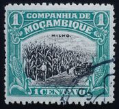 [Local Motifs, type O]