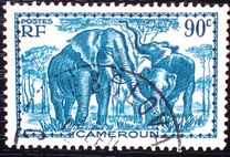 [Pictures from Cameroon, type X1]