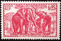 [Pictures from Cameroon, type X4]