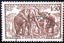 [Pictures from Cameroon, type X6]