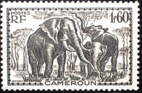 [Pictures from Cameroon, type X7]