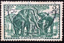 [Pictures from Cameroon, type X9]