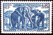 [Pictures from Cameroon, type X10]