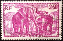 [Pictures from Cameroon, type X11]