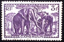 [Pictures from Cameroon, type X12]