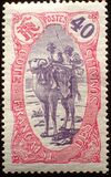 [Camel Rider, tip V3]
