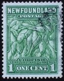 [Newfoundland Issue, type DO]