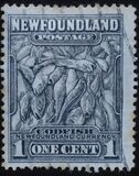 [Newfoundland Issue - New Colors and Values, type DO2]