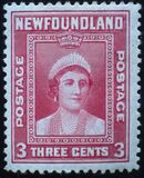 [Royal Family, type FN1]