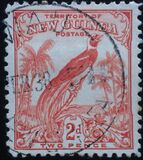 [Bird of Paradise - without Date Scrolls, Typ E2]