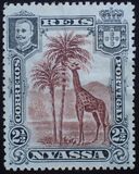 [Giraffe, type C]