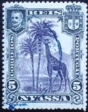 [Giraffe, type C1]