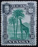 [Giraffe, type C2]
