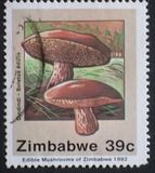 [Edible Mushrooms, тип IN]