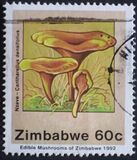 [Edible Mushrooms, тип IP]