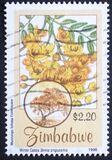[Indigenous Flowering Trees, тып ME]
