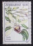 [Orchids, tip JX]
