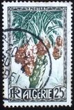 [Fruits of the Land, tyyppi CM]