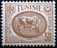 [Horse - From Carthage Museum, प्रकार AT1]