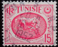 [Horse - From Carthage Museum, प्रकार AT10]