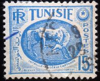 [Horse - From Carthage Museum, प्रकार AT11]