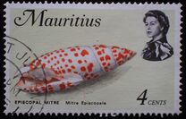 [Marine Life, type EZ]