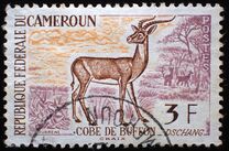 [Postage Stamps - Animals, Вид CJ1]