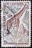 [Postage Stamps - Animals, Вид CN]