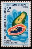 [Fruits, type HB]