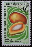 [Fruits, type HF]