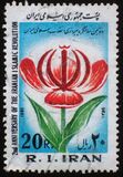 [The 2nd Anniversary of the Islamic Revolution, type CHS]