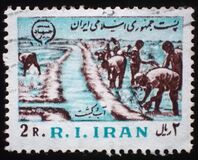 [Islamic Revolution, Typ CHY]